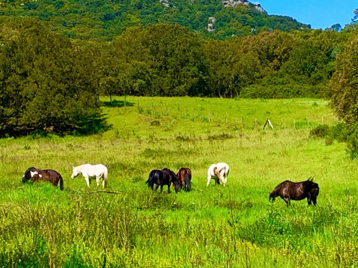 L'Aravone Lodge Sartène Екстериор снимка